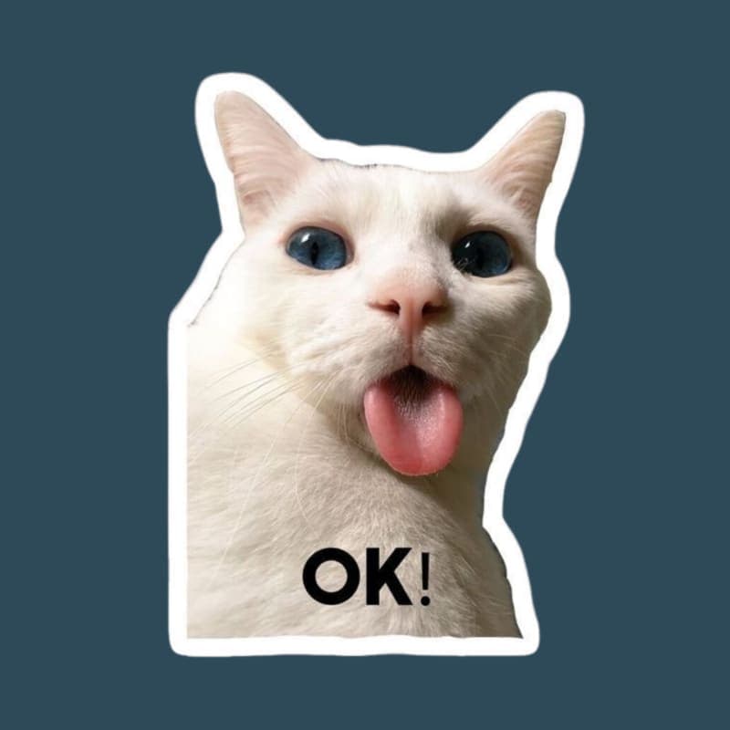 NGTY KITTY